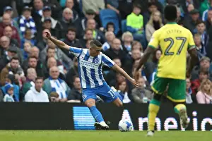 Brighton and Hove Albion vs. Norwich City: A Fierce EFL Sky Bet Championship Showdown (29OCT16)