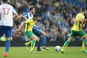 Brighton and Hove Albion vs. Norwich City: A Fierce EFL Sky Bet Championship Showdown (29OCT16)