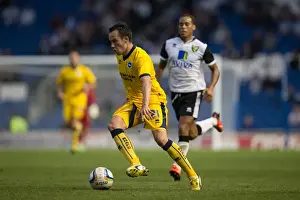 2013-14 Pre-season Prints: Brighton & Hove Albion vs Norwich City: Kick-Starting the 2013-14 Season