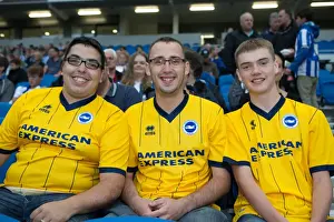 Brighton & Hove Albion vs Norwich City: Kickoff to the 2013-14 Season - Pre-Season Clash