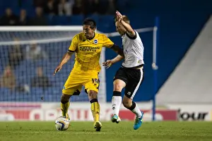 Norwich City - 30-07-2013 Prints: Brighton & Hove Albion vs Norwich City: Kickoff to the 2013-14 Season - Pre-Season Clash