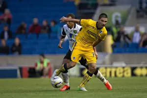 Norwich City - 30-07-2013 Prints: Brighton & Hove Albion vs Norwich City: Kickstarting the 2013-14 Season - Pre-season Clash (30-07-2013)