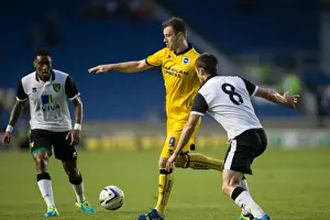 2013-14 Pre-season Prints: Brighton & Hove Albion vs Norwich City: Kickstarting the 2013-14 Season - Pre-Season Clash