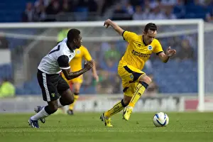 2013-14 Pre-season Prints: Brighton & Hove Albion vs Norwich City: Kickstarting the 2013-14 Season - Pre-Season Clash