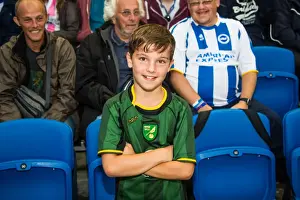 Brighton & Hove Albion vs Norwich City: Kickstarting the 2013-14 Season - Pre-Season Clash
