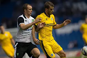 2013-14 Pre-season Prints: Brighton & Hove Albion vs Norwich City: Kickstarting the 2013-14 Season - Pre-season Clash (July 30)