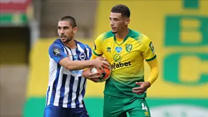 Brighton and Hove Albion vs. Norwich City: Premier League Showdown at Carrow Road (04JUL20)