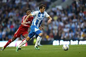 Brighton & Hove Albion vs. Nottingham Forest (2013-14 Home Game)
