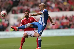 Brighton & Hove Albion vs. Nottingham Forest - 2014-15 Away Game