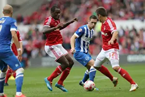 Brighton & Hove Albion vs. Nottingham Forest: 27 September 2014 (Away Game)