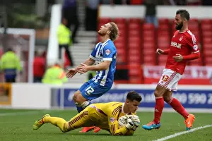 Brighton & Hove Albion vs. Nottingham Forest: 27 September 2014 (Away Game)