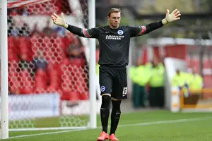 Brighton & Hove Albion vs. Nottingham Forest: 27 September 2014 (Away Game)