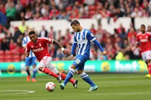 Brighton & Hove Albion vs. Nottingham Forest: 27 September 2014 (Away Game)