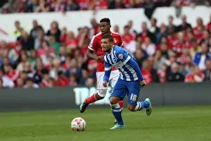 Brighton & Hove Albion vs. Nottingham Forest: 27 September 2014 (Away Game)