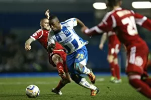Images Dated 5th October 2013: Brighton & Hove Albion vs. Nottingham Forest: Home Game - October 5, 2013