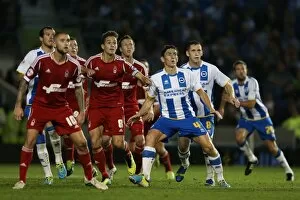 Images Dated 5th October 2013: Brighton & Hove Albion vs. Nottingham Forest: A 5-10-2013 Home Game - 5-0 Seaside Victory
