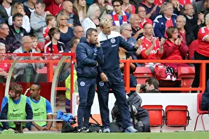 Brighton & Hove Albion vs. Nottingham Forest (Away), 27 September 2014