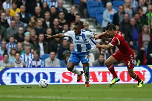 Nottingham Forest - 05-10-2013 Prints: Brighton & Hove Albion vs. Nottingham Forest: Home Battle (2013-14 Season)