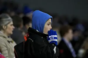 Brighton & Hove Albion vs. Nottingham Forest: A Home Battle from the 2014-15 Season (07FEB15)