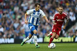 Brighton & Hove Albion vs. Nottingham Forest: Home Game (October 5, 2013)