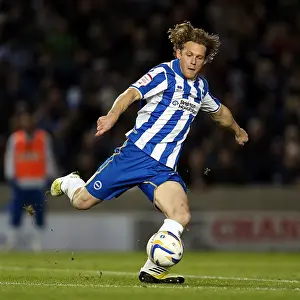 Peterborough United - 06-11-2012 Prints: Brighton & Hove Albion vs. Peterborough United (06-11-2012): A Glimpse into the 2012-13 Home Season