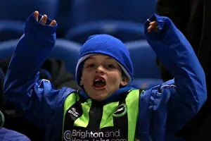 Peterborough United - 06-11-2012 Prints: Brighton & Hove Albion vs. Peterborough United (06-11-2012): A Glimpse into the 2012-13 Home Season