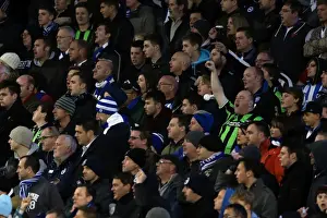 Brighton & Hove Albion vs. Peterborough United (06-11-2012): A Glimpse into the 2012-13 Home Season