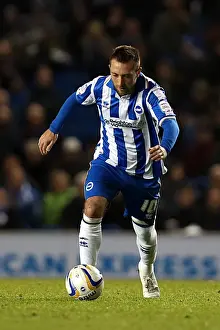 Peterborough United - 06-11-2012 Prints: Brighton & Hove Albion vs. Peterborough United (06-11-2012): A Glimpse into the 2012-13 Home Season