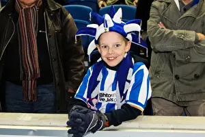 Peterborough United - 06-11-2012 Prints: Brighton & Hove Albion vs. Peterborough United (06-11-2012): A Glimpse into the 2012-13 Home Season