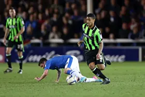 Peterborough United - 16-04-2013 Prints: Brighton & Hove Albion vs. Peterborough United: A 2012-13 Season Away Game Preview (April 16)
