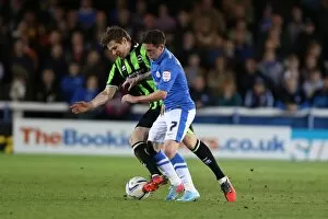 Images Dated 16th April 2013: Brighton & Hove Albion vs. Peterborough United (Away) - A 2012-13 Season Flashback