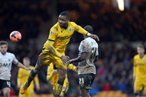 Brighton & Hove Albion vs Port Vale (FA Cup, 25-01-2014)