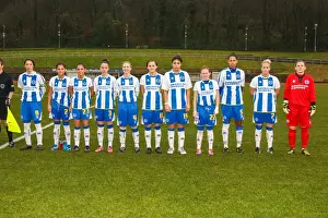 Brighton & Hove Albion vs. Portsmouth: Women's Football Match, 2013-14 Season