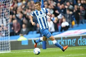 Images Dated 24th October 2015: Brighton and Hove Albion vs. Preston North End: Sky Bet Championship Showdown at American Express