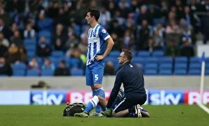 Images Dated 24th October 2015: Brighton & Hove Albion vs. Preston North End: Sky Bet Championship Showdown at American Express