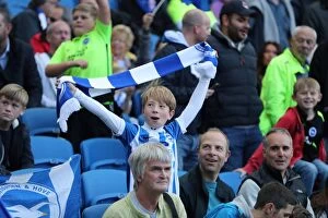 Images Dated 15th October 2016: Brighton and Hove Albion vs. Preston North End: A Fierce EFL Sky Bet Championship Clash at