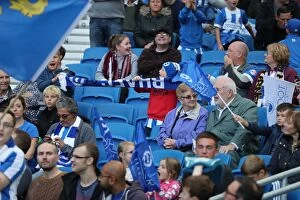 Images Dated 15th October 2016: Brighton and Hove Albion vs. Preston North End: A Fierce EFL Sky Bet Championship Clash (15OCT16)
