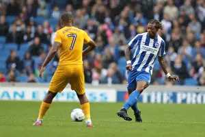 Brighton and Hove Albion vs. Preston North End: A Fierce EFL Sky Bet Championship Clash (15OCT16)
