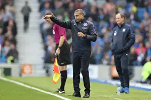 Brighton and Hove Albion vs. Preston North End: A Fierce EFL Sky Bet Championship Clash (15OCT16)