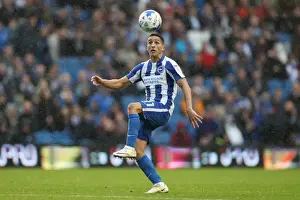 Brighton and Hove Albion vs. Preston North End: A Fierce EFL Sky Bet Championship Clash (15OCT16)