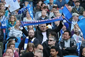 Brighton and Hove Albion vs. Preston North End: A Fierce EFL Sky Bet Championship Clash (15OCT16)