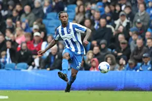 Brighton and Hove Albion vs. Preston North End: A Fight in the EFL Sky Bet Championship (15OCT16)