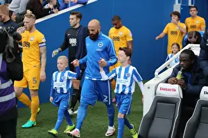 Brighton and Hove Albion vs. Preston North End: A Fight in the EFL Sky Bet Championship (15OCT16)