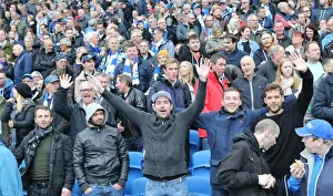 Brighton & Hove Albion vs. Preston North End: A Sky Bet Championship Battle (24/10/2015)