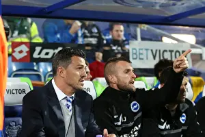 QPR - 18-09-2013 Prints: Brighton & Hove Albion vs. QPR: Away Game (September 18, 2013)
