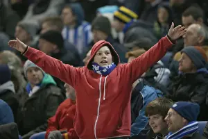 Brighton & Hove Albion vs. QPR: A Historic 11-3 Victory (11-03-2014)