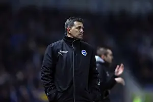 Brighton & Hove Albion vs. QPR: A Historic 11-3 Victory (11-03-2014)
