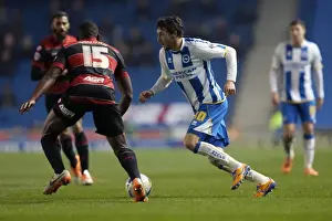 Brighton & Hove Albion vs. QPR: A Historic 11-3 Victory (11-03-2014)