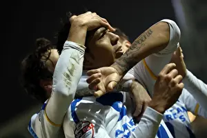 Brighton & Hove Albion vs. QPR: A Historic 11-3 Victory (2013-14 Home Games)