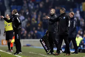 Brighton & Hove Albion vs QPR: A Historic 11-3 Victory in the 2013-14 Season